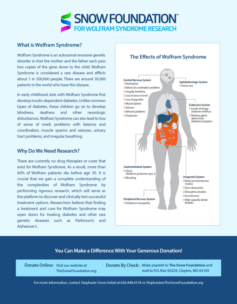 What is Wolfram Syndrome in one sheet